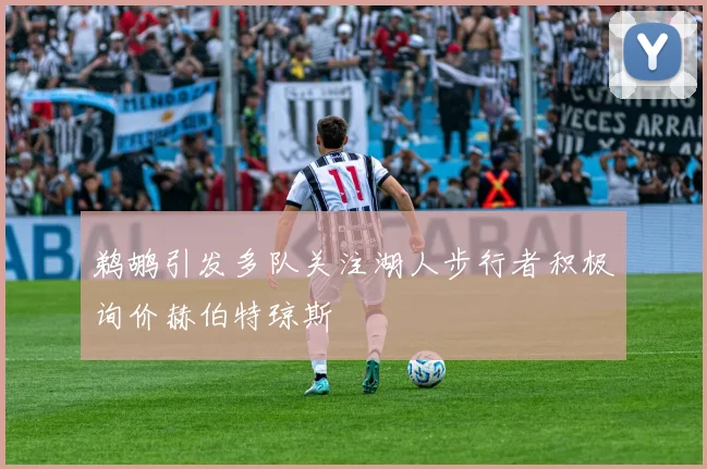 鹈鹕引发多队关注湖人步行者积极询价赫伯特琼斯