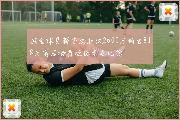 掘金球员薪资总和仅2600万纳吉818万高居榜首远低于恩比德