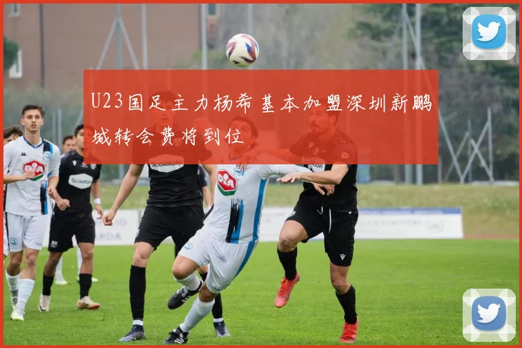 U23国足主力杨希基本加盟深圳新鹏城转会费将到位
